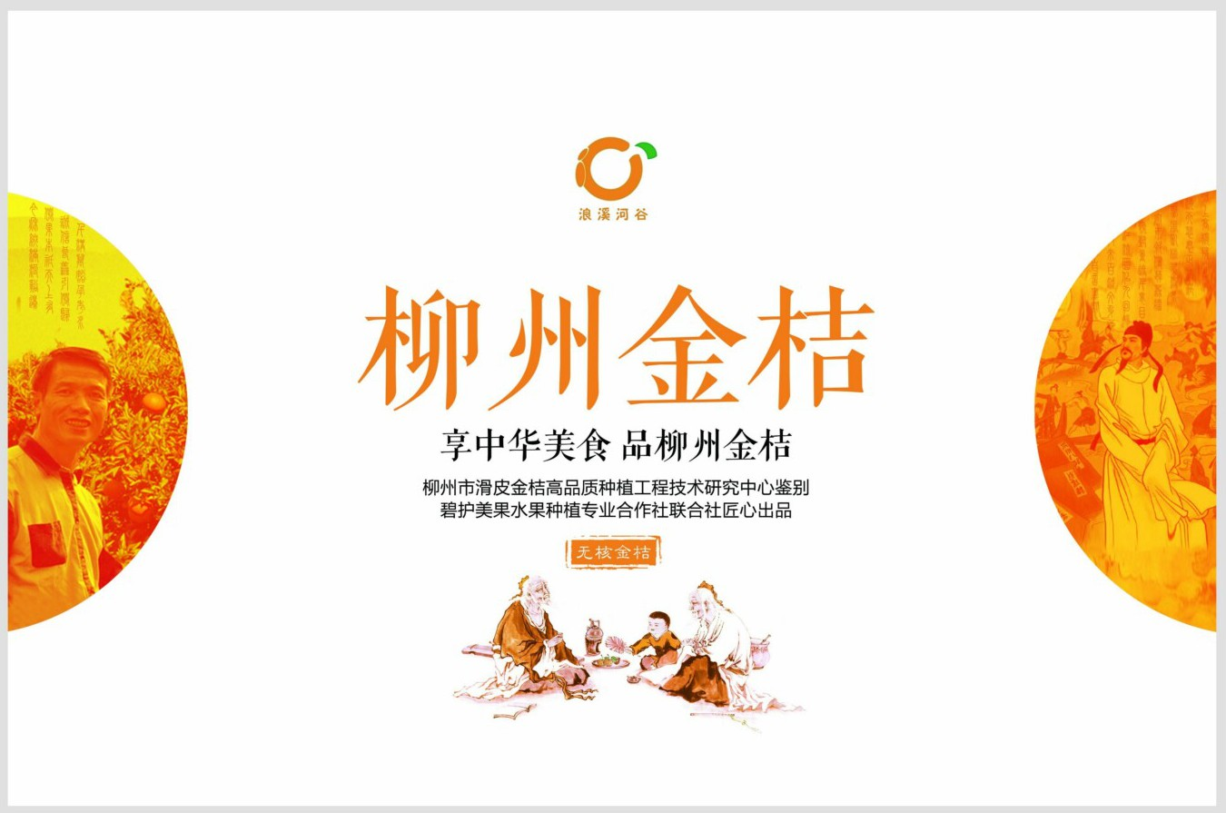 cn304709713s_金桔包装箱失效