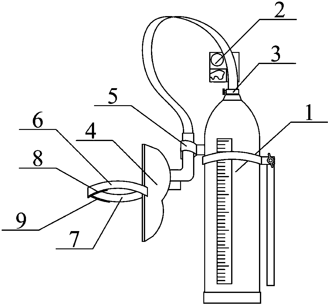 包括供氧瓶结构,导气管安装装置,调节阀,吸氧罩结构,卡扣,上固定带,下