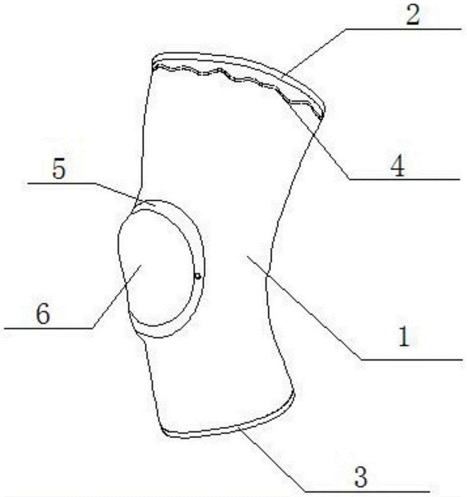 一种体育护具