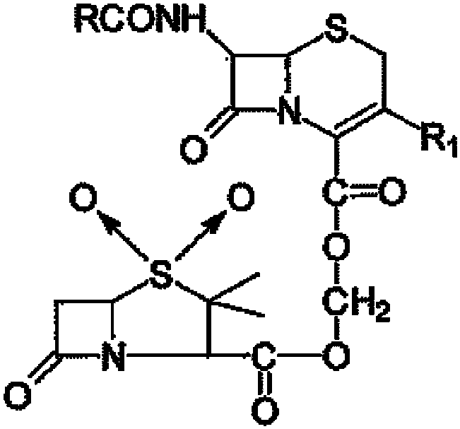 kr1020060111623a_β-lactamase-resistant cephalosporin ester