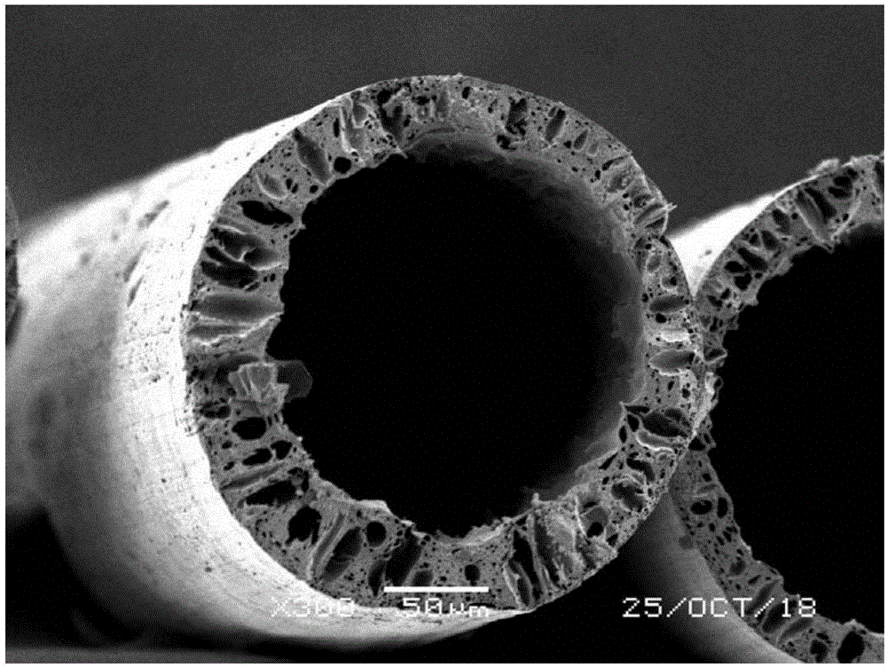 cn109576824a_一种聚丙烯腈基中空中孔碳纤维的制备方法