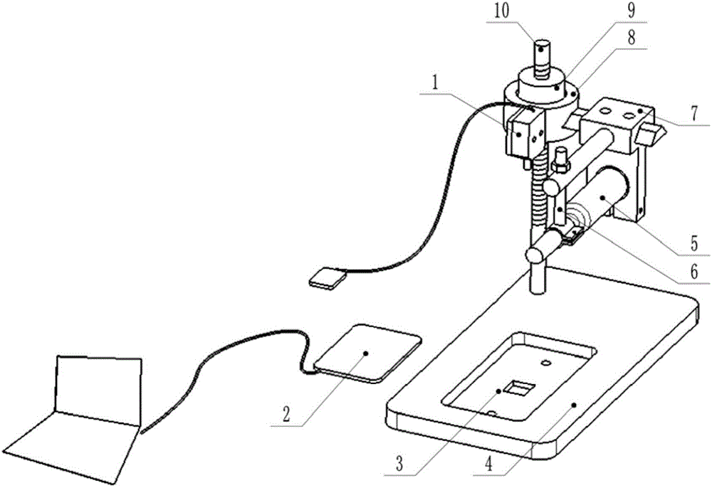 cn208902396u_人体刷牙模型