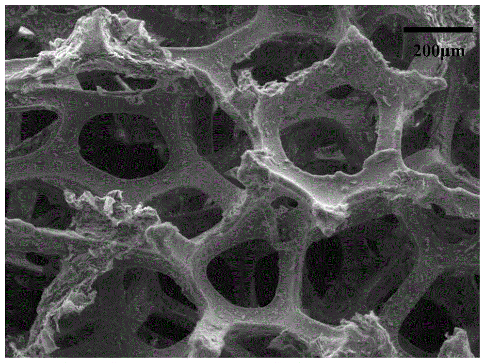 cn109742400a_多孔碳材料的制备方法,多孔碳材料,自支撑二次电池负极