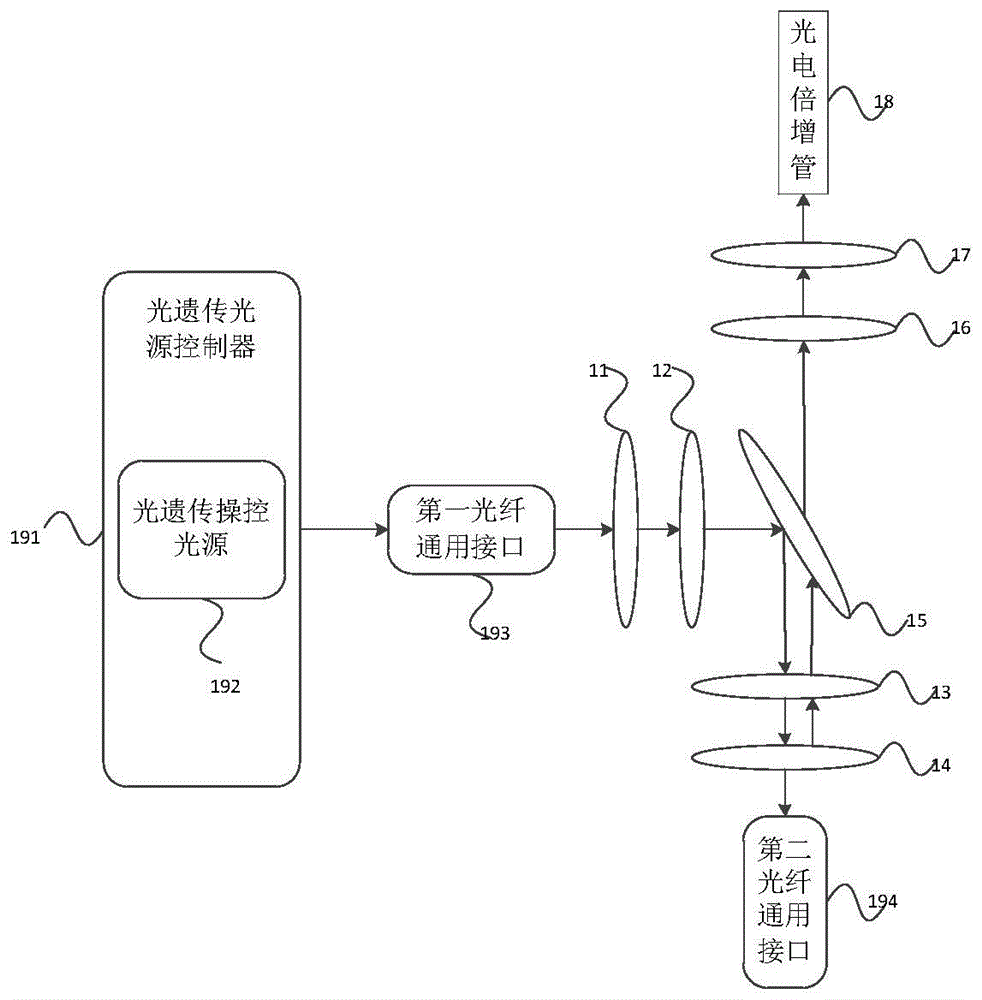 荧光收集装置,微型双光子显微镜及双光子成像方法