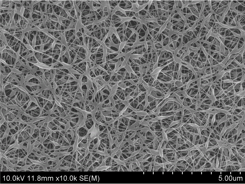 一种基于静电纺丝技术具有催化废气及吸附粉尘微粒两用的纳米纤维制备