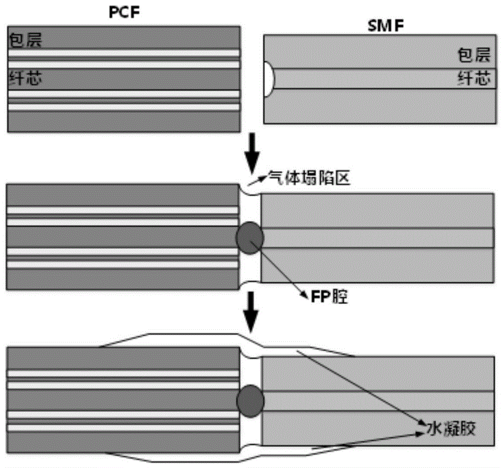 cn109738373a_基于光子晶体光纤的ph值传感器及其制作方法