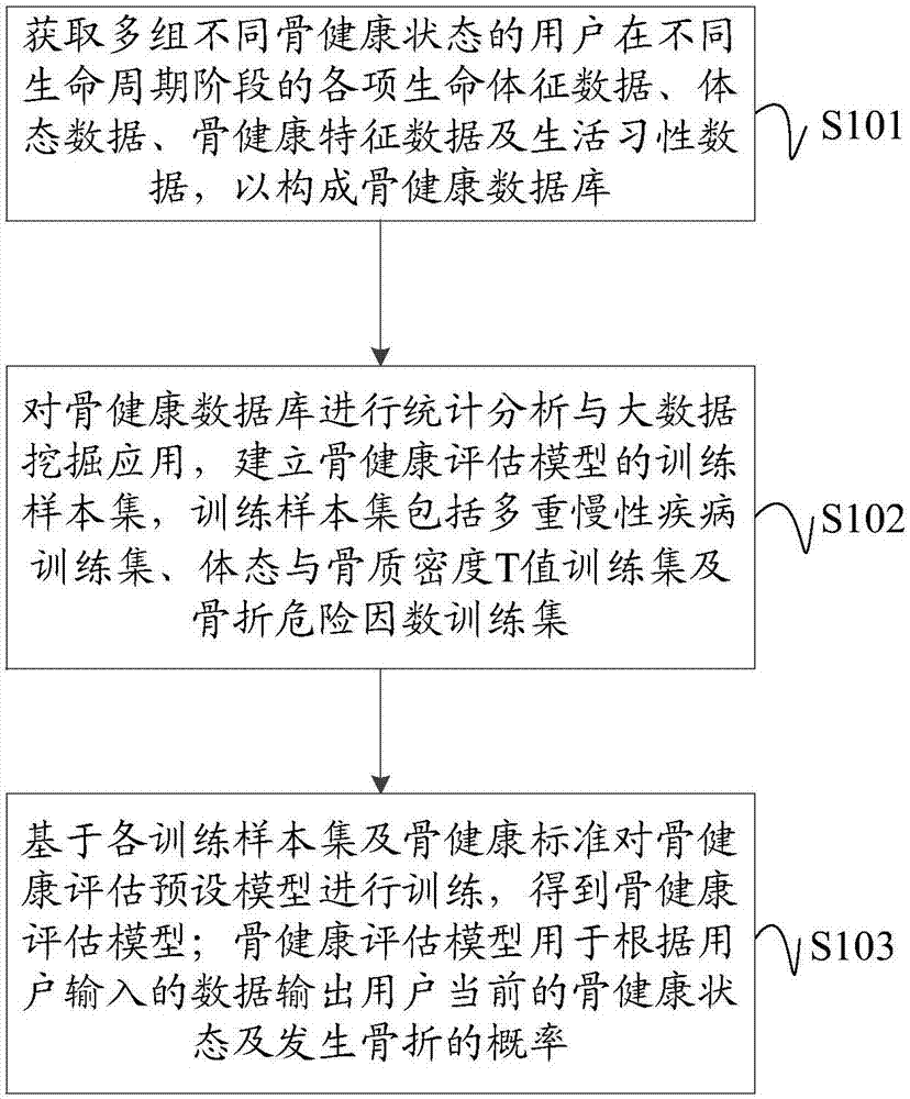 骨健康评估模型构建方法,装置,设备,介质及评估方法专利_专利查询