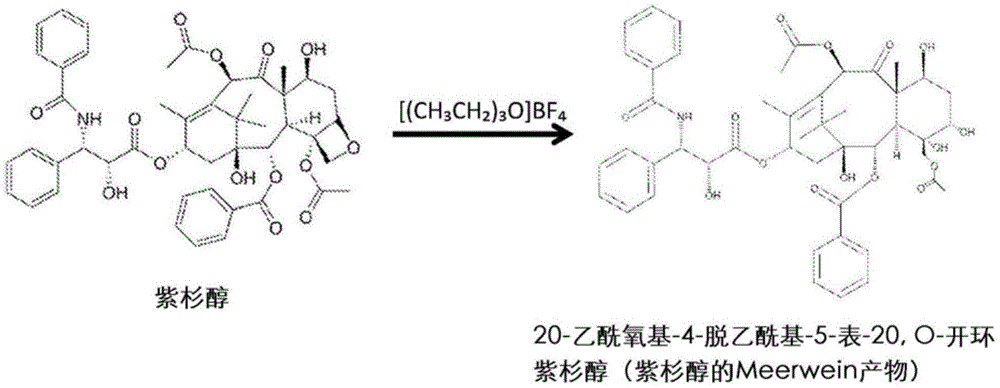 紫杉醇-白蛋白-结合剂组合物及使用和制备该组合物的方法