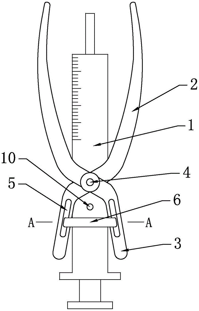 cn208838237u_一种兔子给药装置