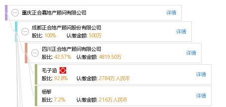 重庆正合嘉地产顾问有限公司