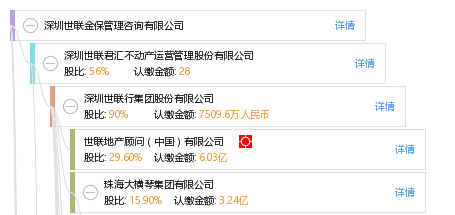 深圳世联金保管理咨询有限公司