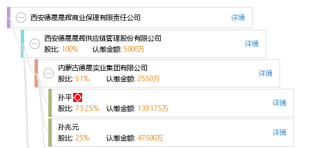 西安德晟晟辉商业保理有限责任公司