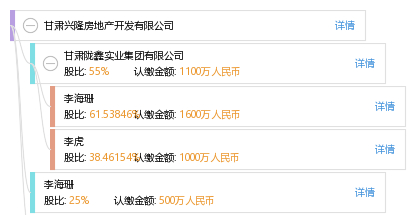 甘肃兴隆房地产开发有限公司_【信用信息_诉