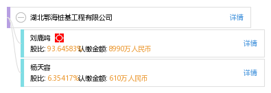 湖北鄂海桩基工程有限公司_【信用信息_诉讼