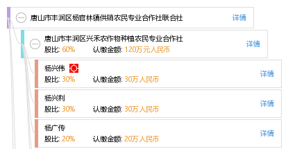 官林镇gdp_礼林镇(2)