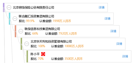 保险公估公司排名_脑叶公司(2)