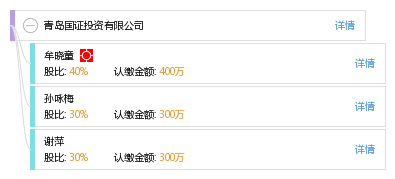 青岛国证投资有限公司