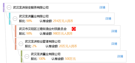 武汉龙洲保安服务有限公司_【信用信息_诉讼