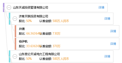 山东天诚投资管理有限公司_【信用信息_诉讼