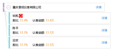 重庆晋成仪表有限公司