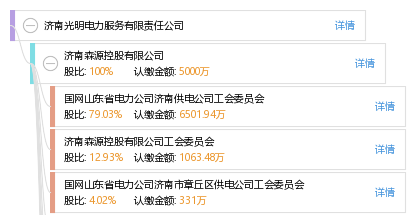 济南光明电力服务有限责任公司