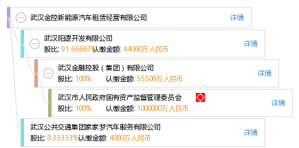 武汉金控新能源汽车租赁经营有限公司