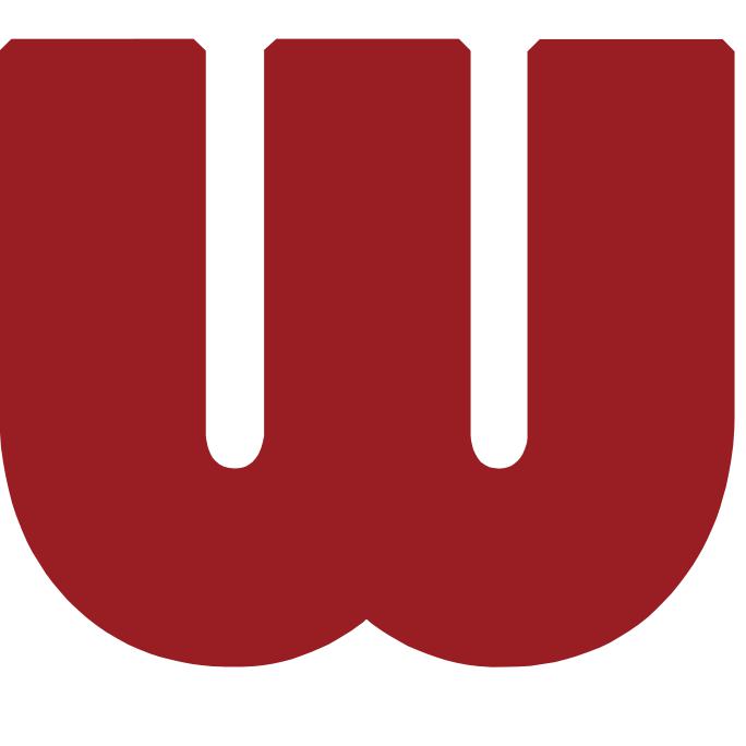 上海威派格智慧水务股份有限公司