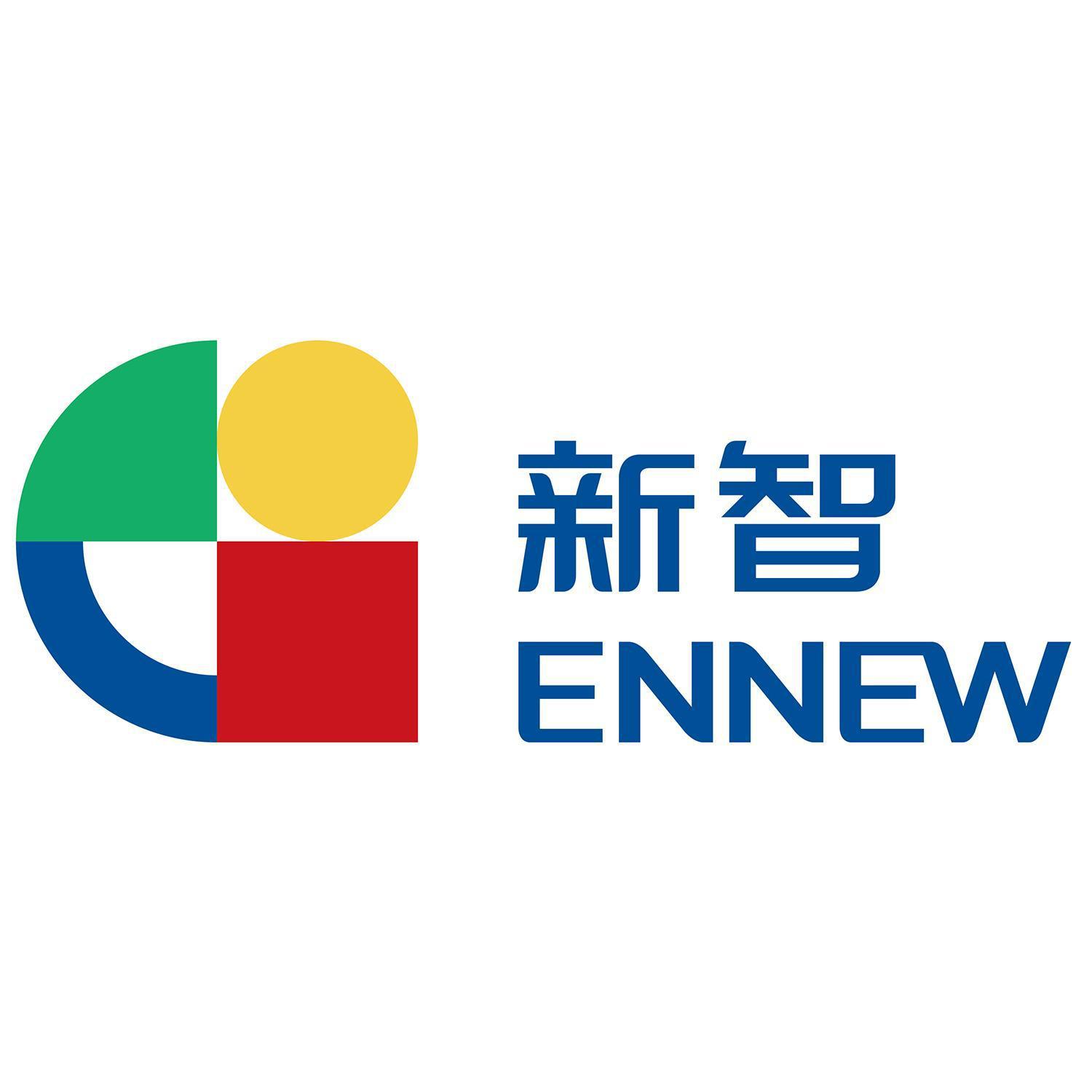 新智控股投资有限公司