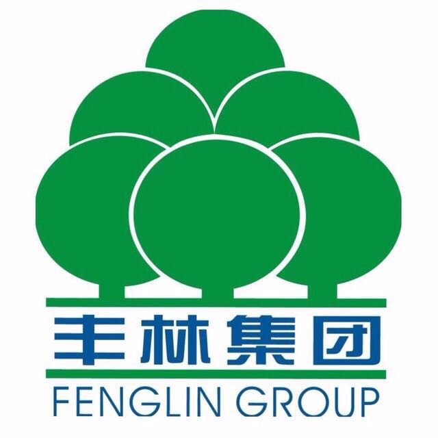 丰林集团
