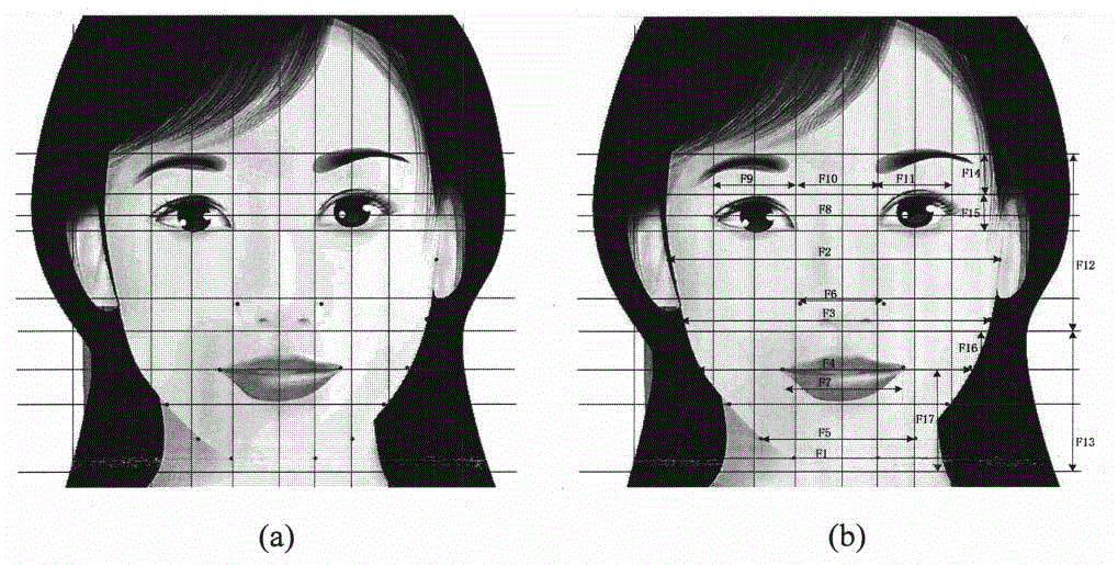 cn101604377a_一種採用計算機進行女性圖像的人臉美麗分類方法