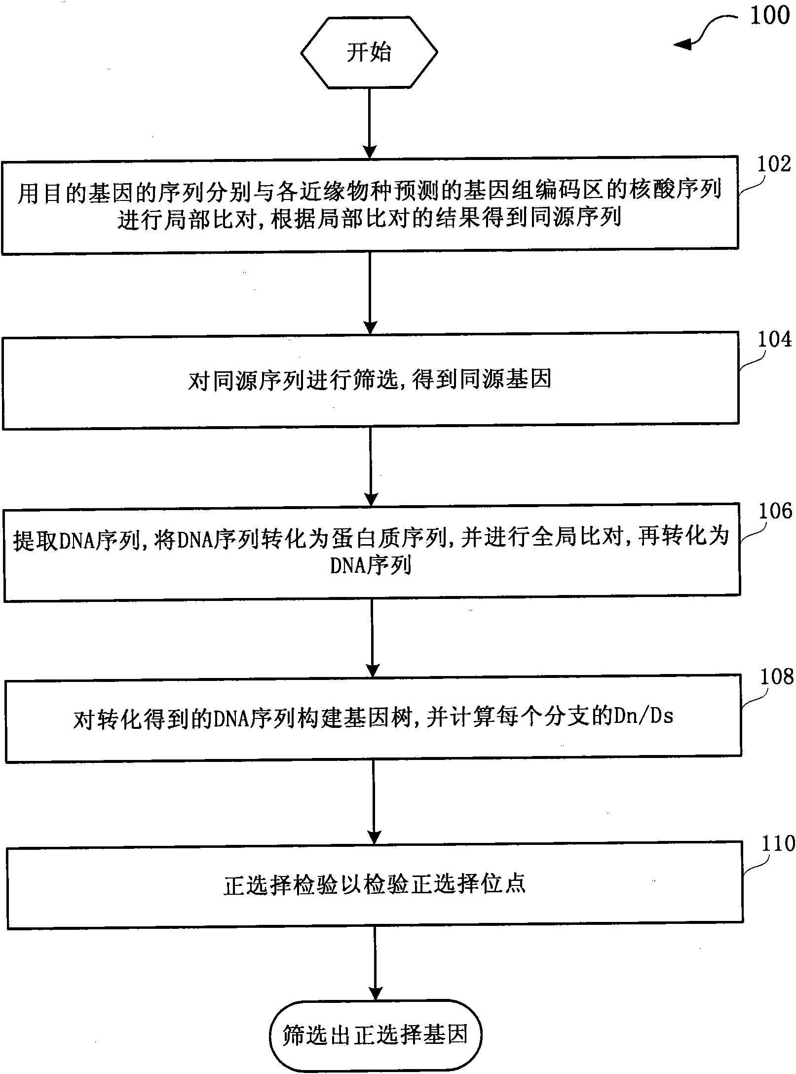 表型基因的檢測及生物信息分析的方法及系統