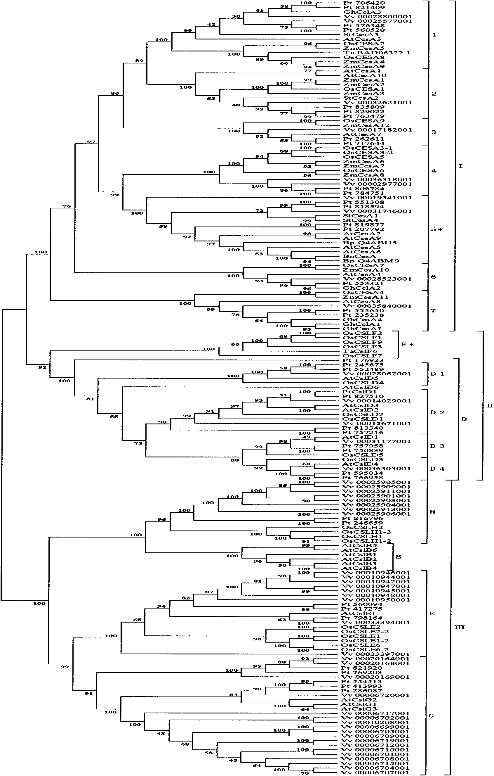 1)数据的获取;2)序列的比对和分析;和3)系统进化树的构建;其中,在所述