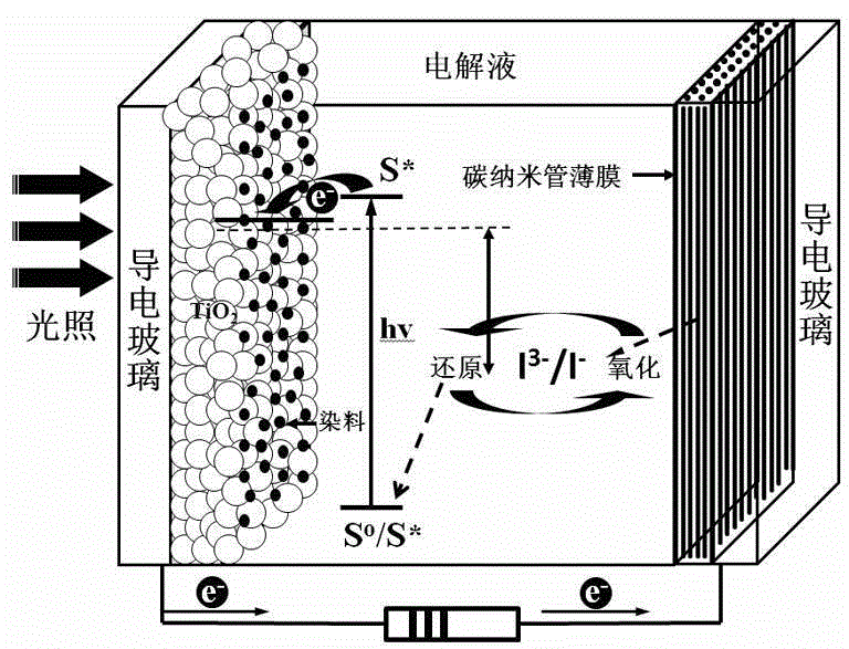 cn102360957a_以取向碳纳米管膜为对电极的染料敏化太阳能电池有效