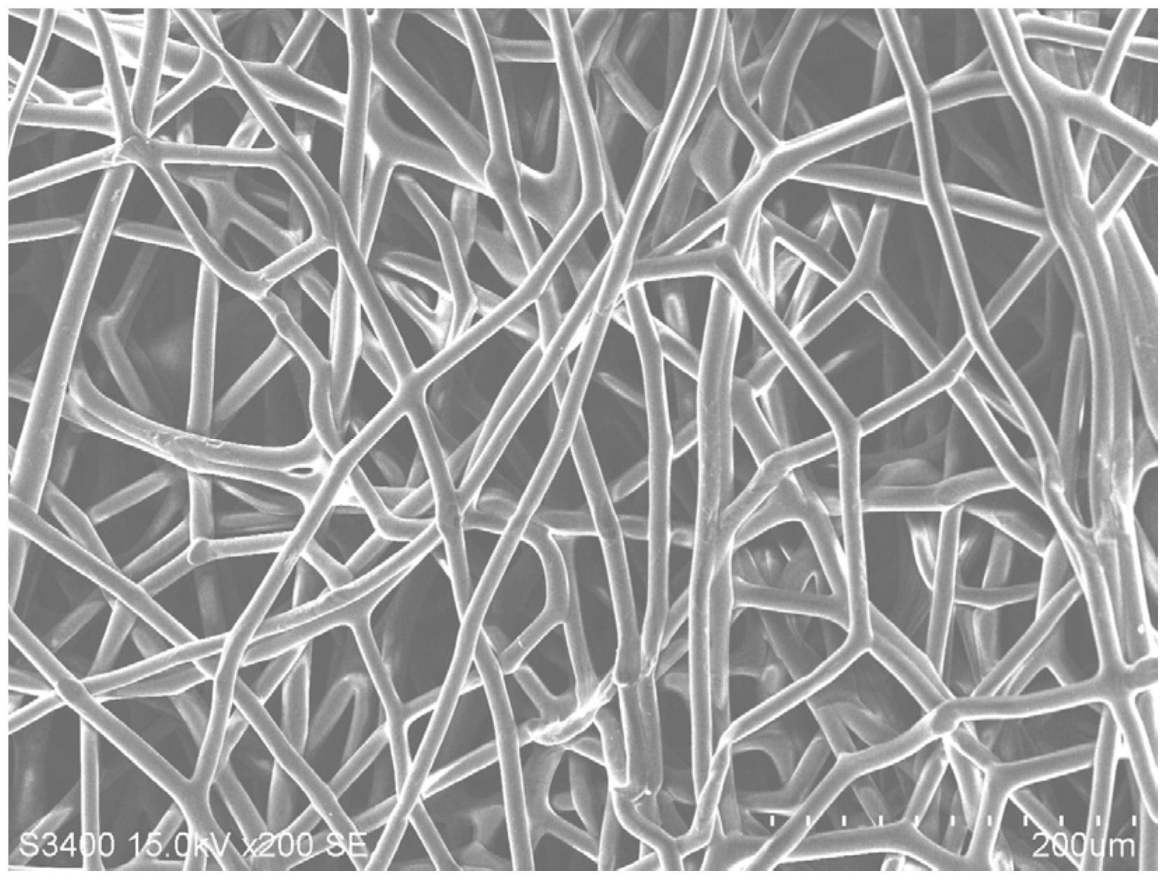 cn102523921a_一种金针菇菌丝球的制备方法及其产品有效