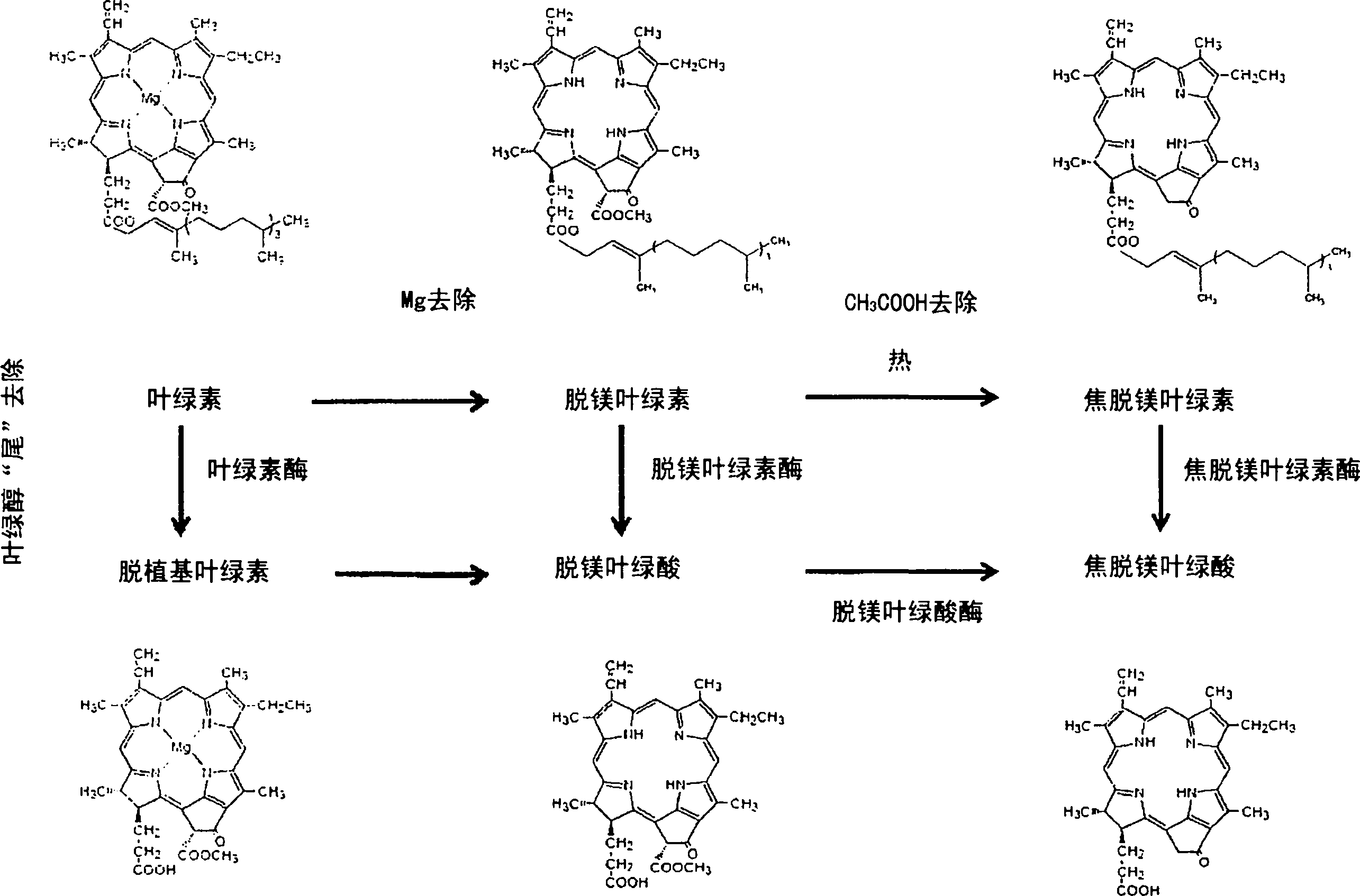 用于处理含有焦脱镁叶绿素的组合物的方法