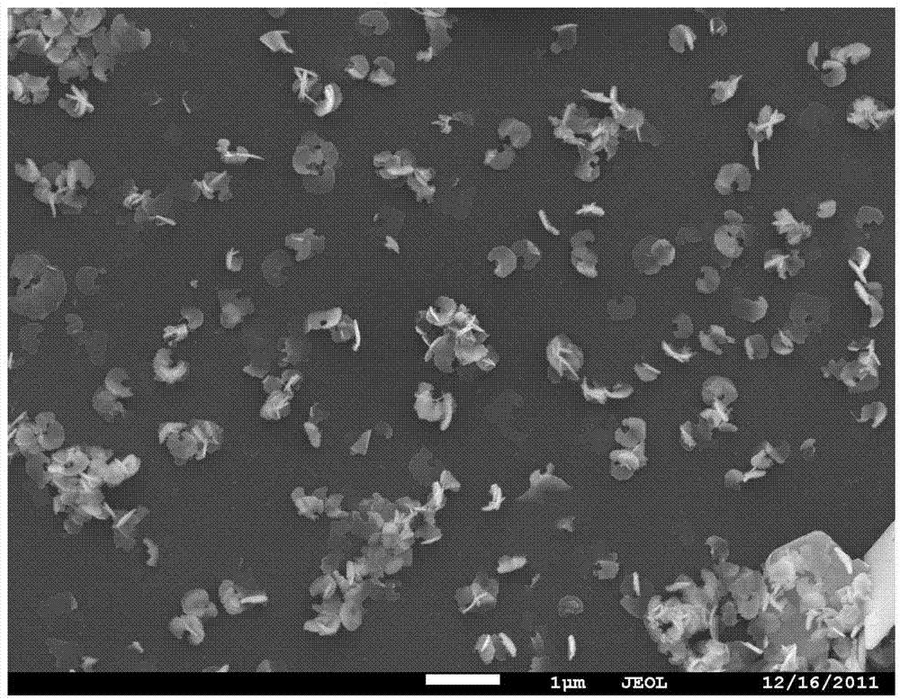 一种半弧形bi sub>2 /sub>se sub>3 /sub>超薄纳米片的制备方法