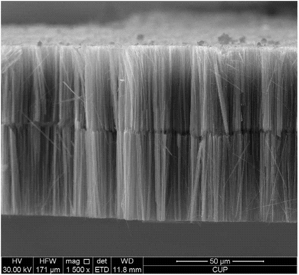 一种硅纳米线双层阵列结构材料的制备方法