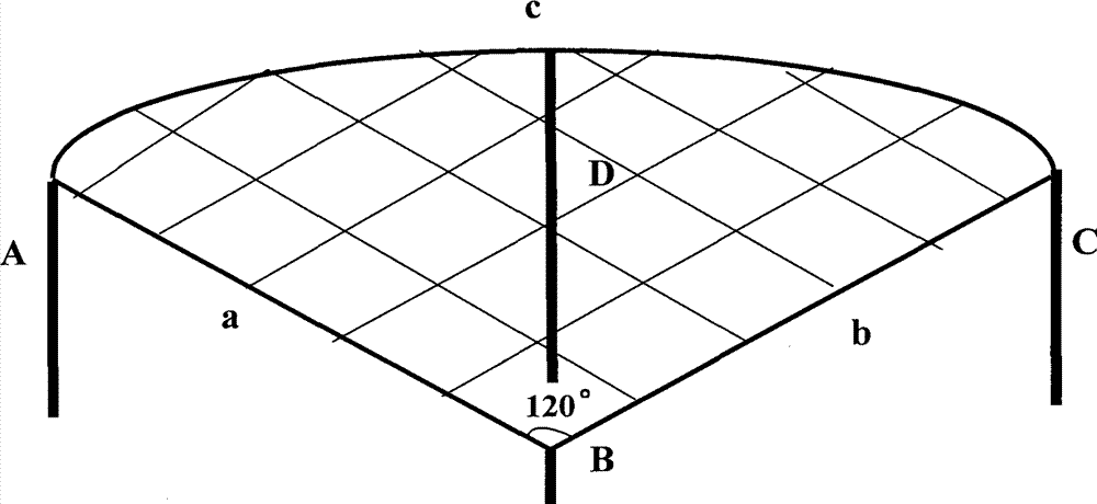 cn103238495a_一种利用桃树造景的方法有效