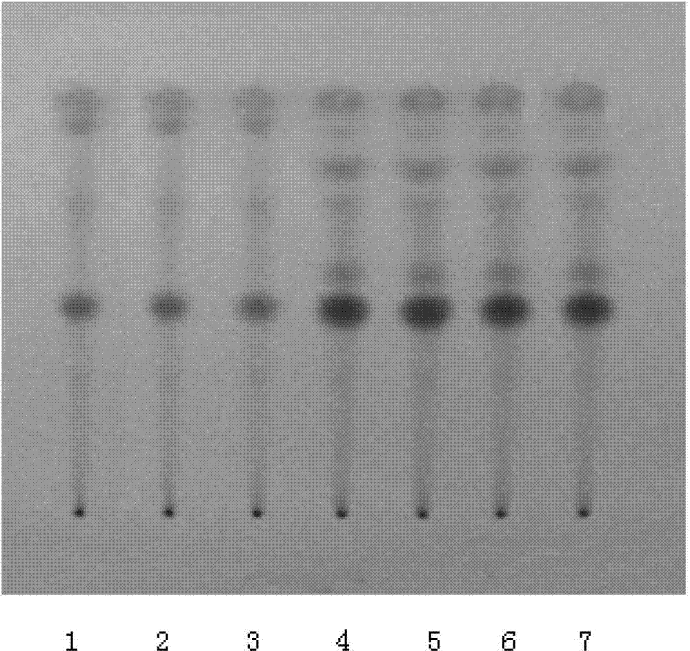 薄层层析实验图谱图片