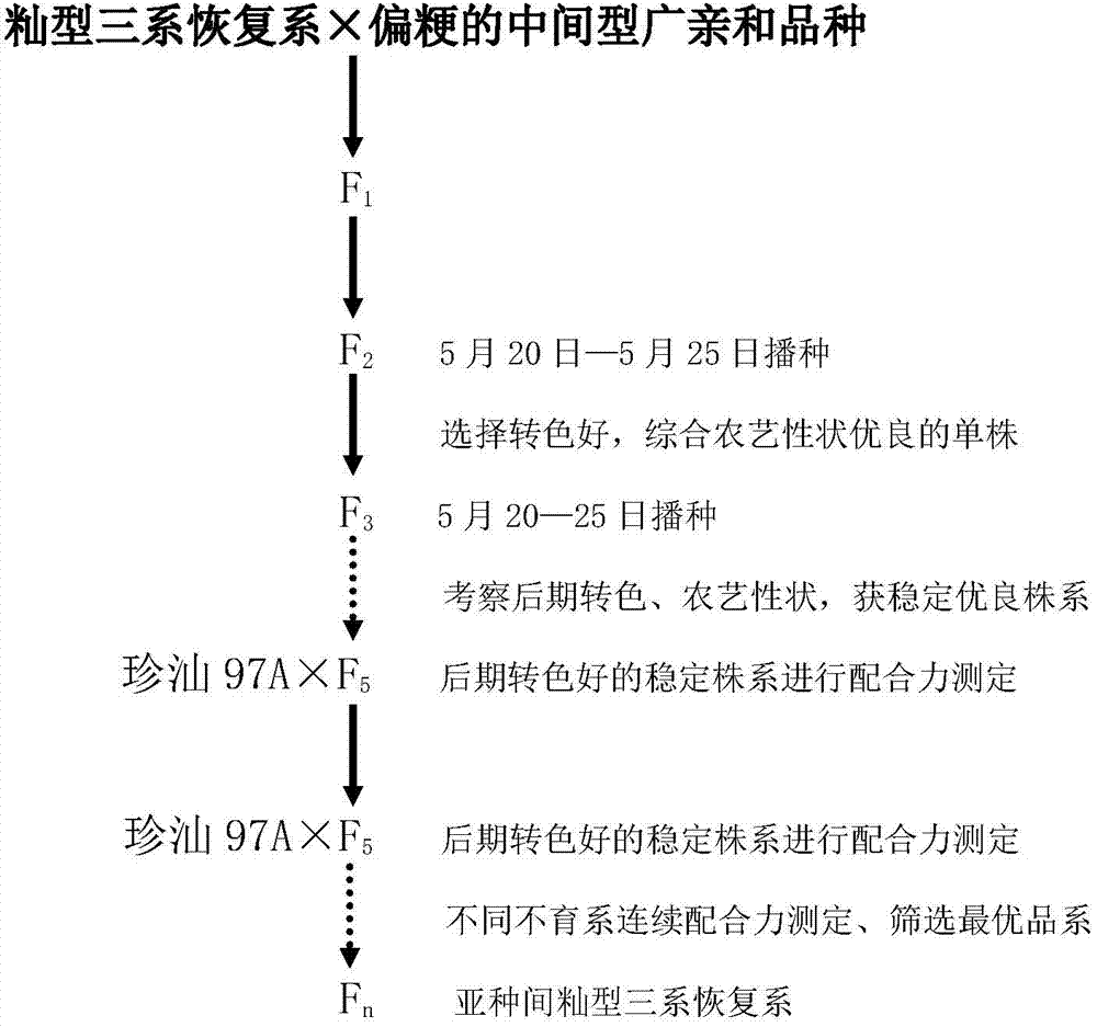 世代均于5月20日