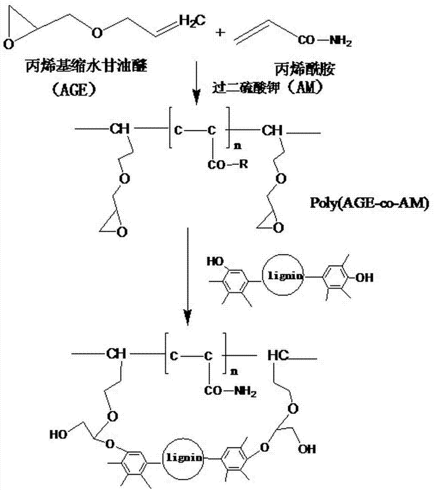 該方法包括:(1)親水高分子的合成,烯丙基縮水甘油醚與丙烯酰胺共聚