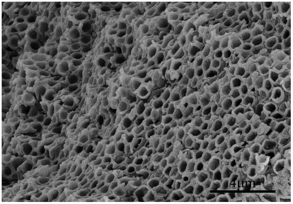 一种高比表面积聚合物基分级孔结构互锁微囊的制备方法