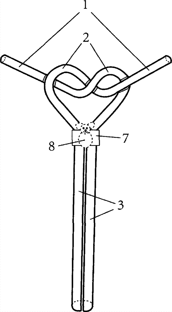 cn104223905a_造型物双人心形吸管失效