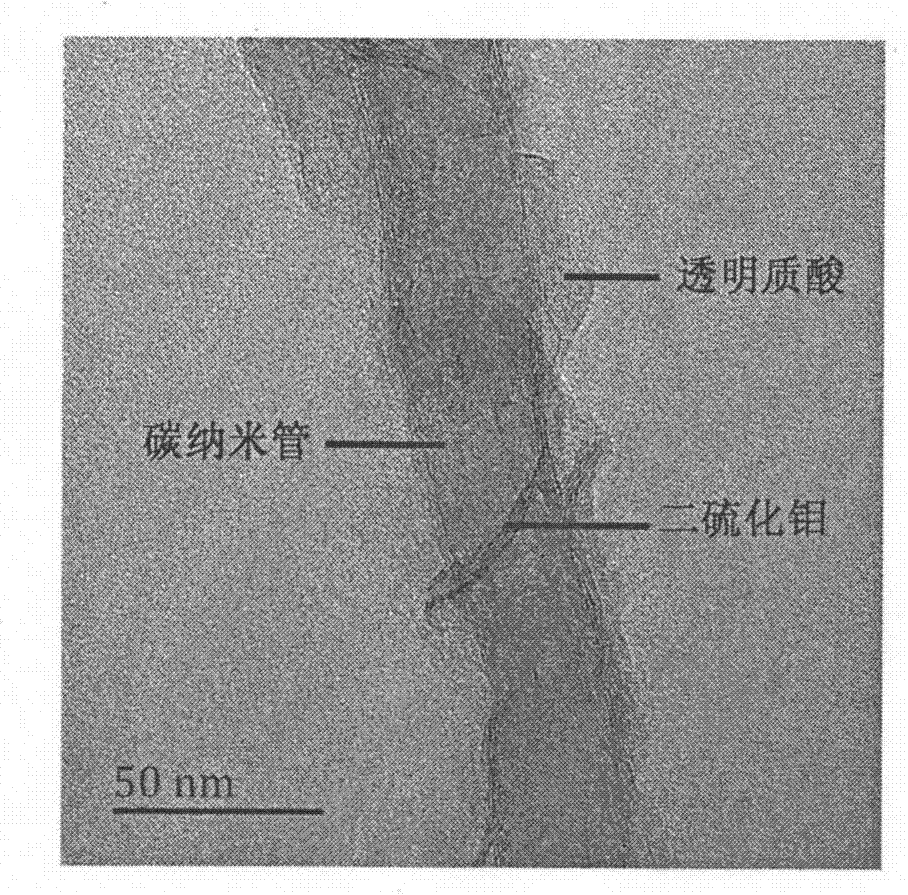 cn104324376a_透明质酸偶联二硫化钼/碳纳米管复合载