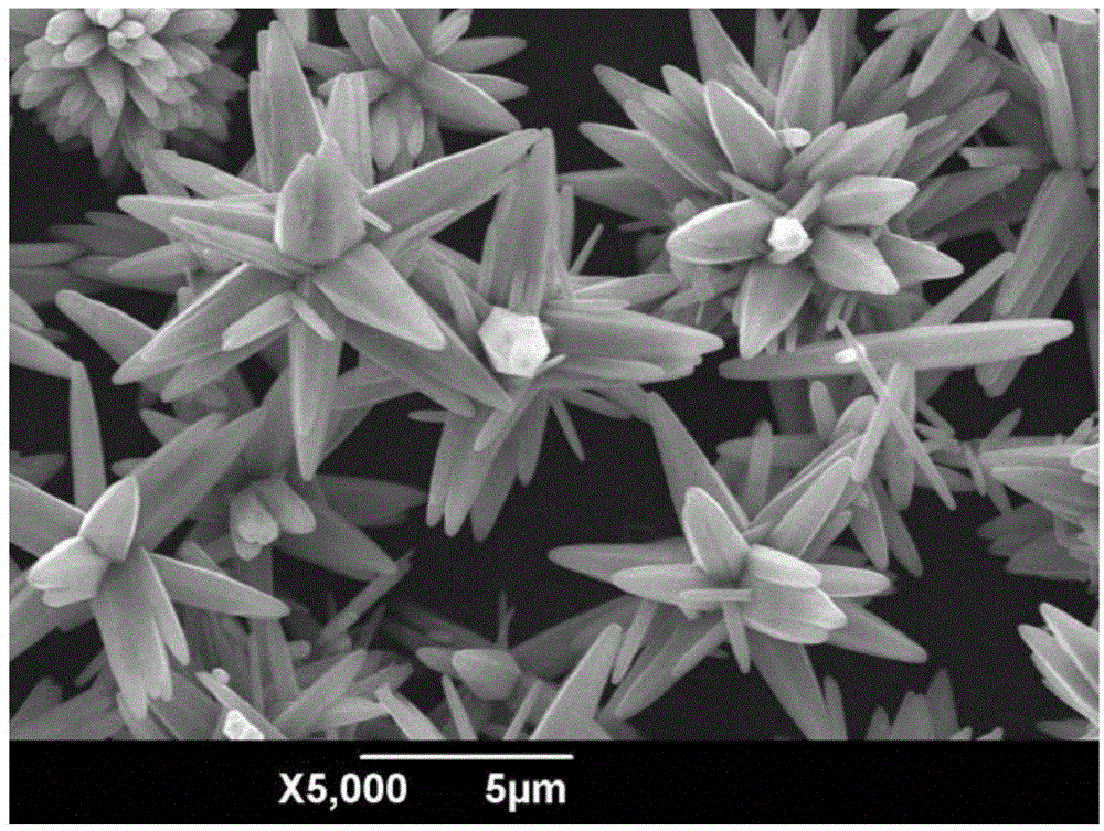 一种微波萃取合成纺锤花状结构zno纳米材料的方法