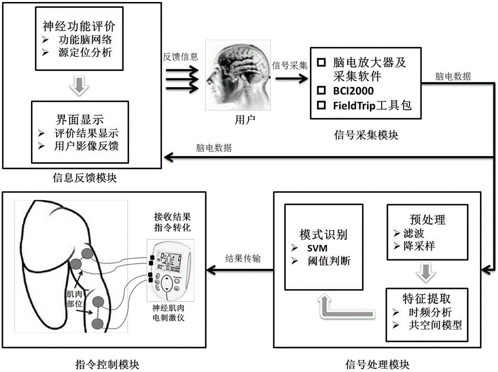 信號採集模塊,用於對輸入腦電和其他生理信號進行實時