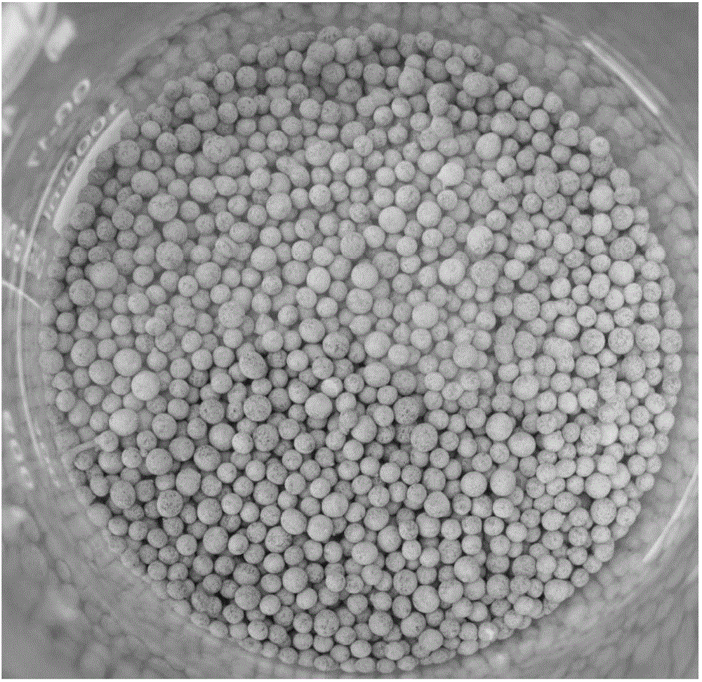 所述载体以聚乙烯醇和海藻酸钠为包埋材料,所述载体包含0