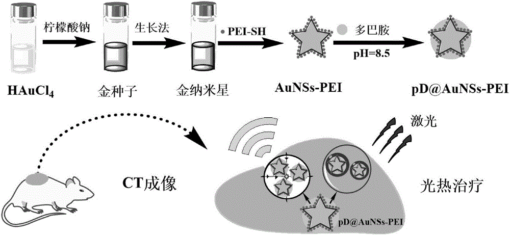 纳米星光热治疗剂的制备方法,包括:用氯金酸和柠檬酸钠制备金种子溶液