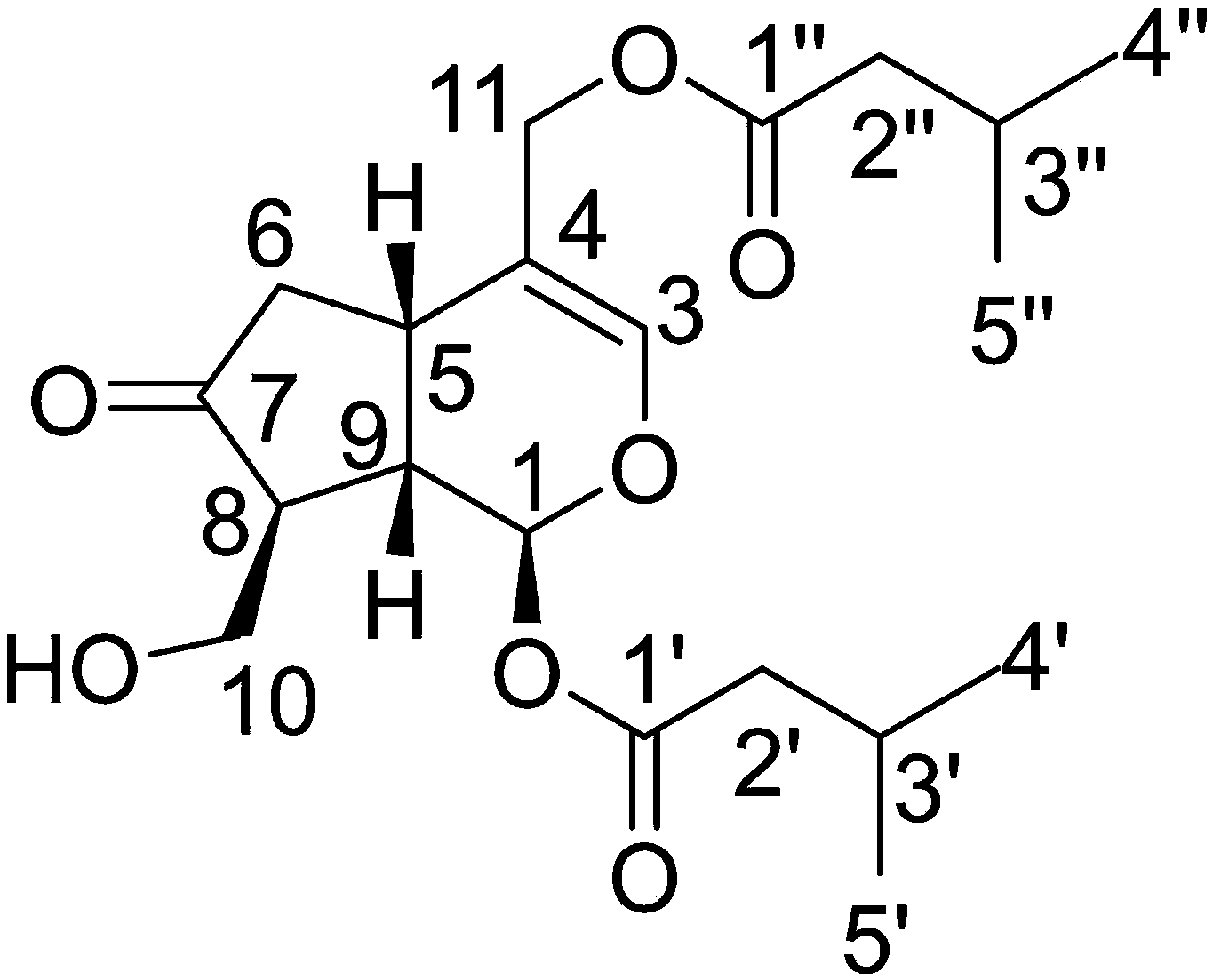 一种新的环烯醚萜类化合物及其制备方法和医药用途