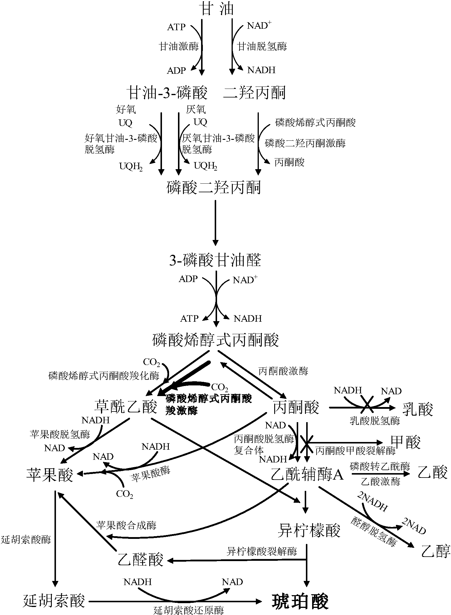 甘油双乙酸盐图片